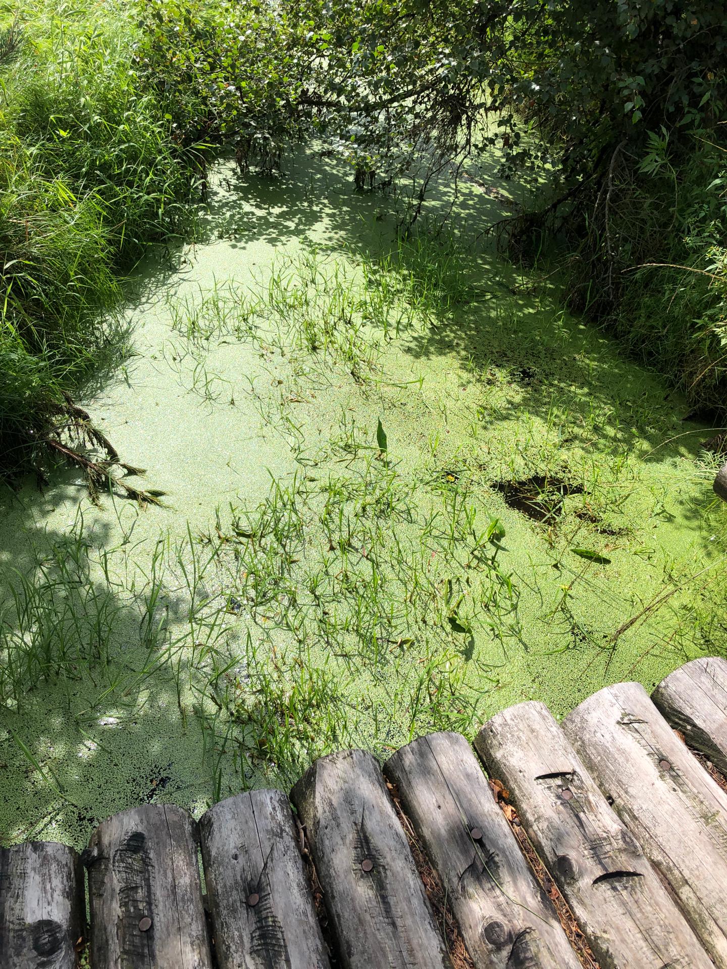 IMG-20190912-WA0100