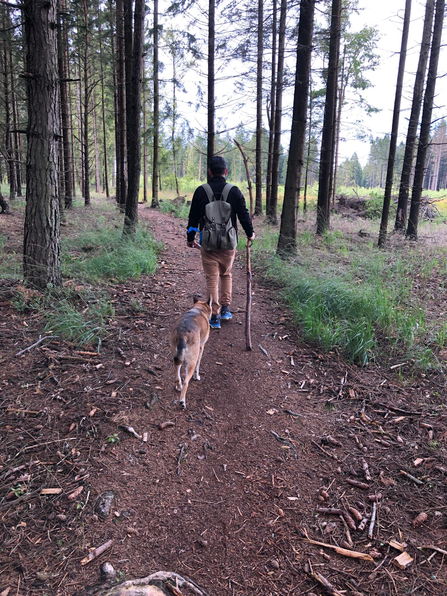 IMG-20190912-WA0106