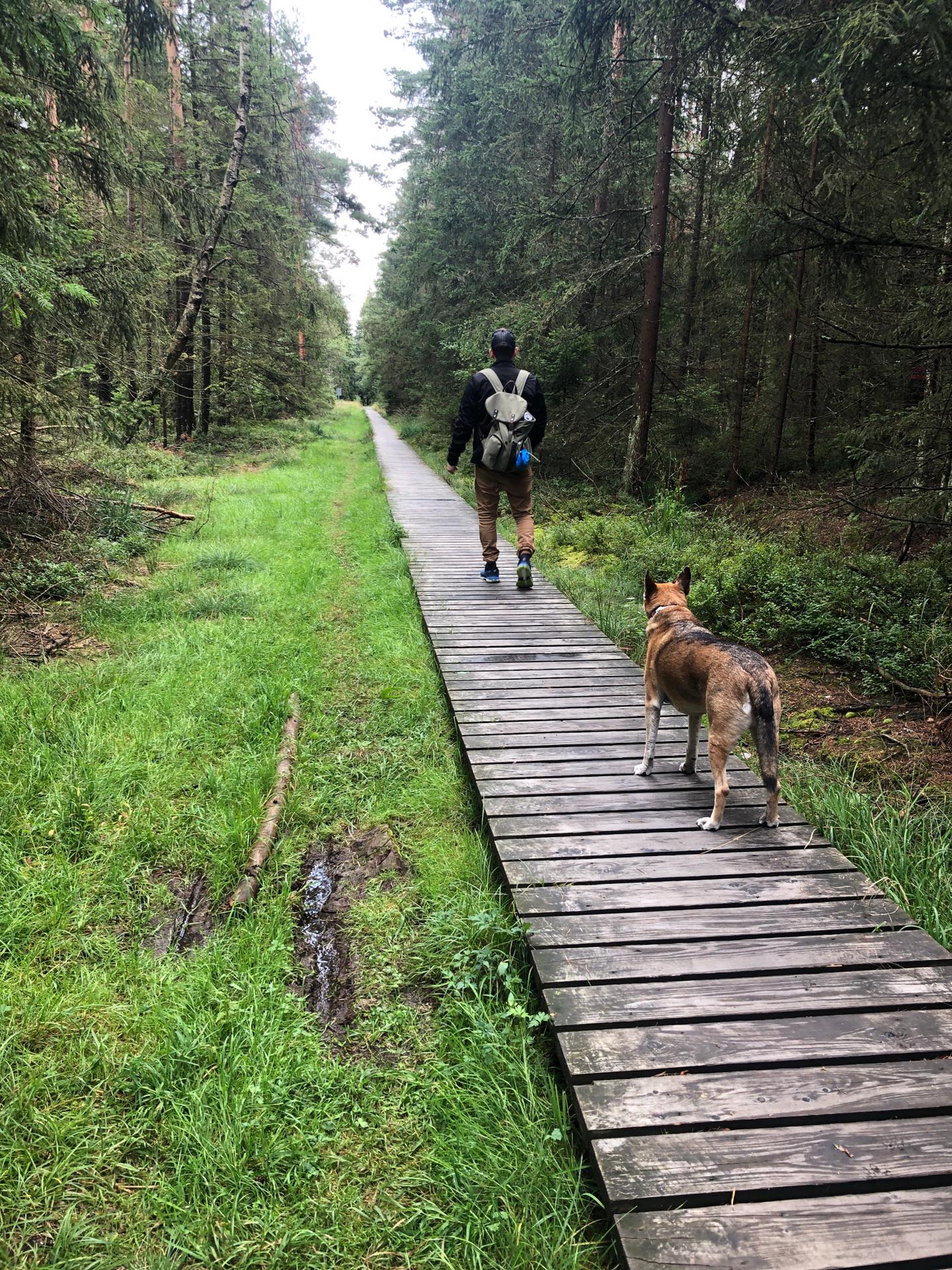 IMG-20190912-WA0125